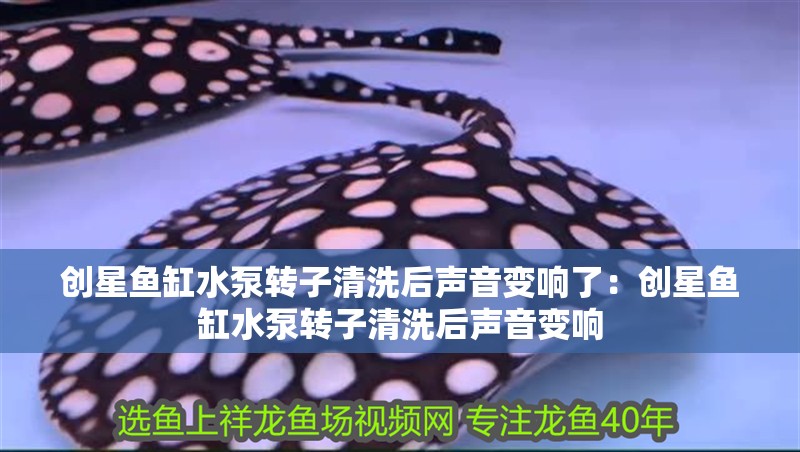 創(chuàng)星魚缸水泵轉子清洗后聲音變響了：創(chuàng)星魚缸水泵轉子清洗后聲音變響