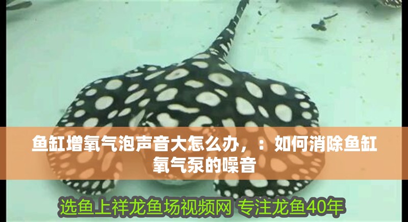 魚缸增氧氣泡聲音大怎么辦，：如何消除魚缸氧氣泵的噪音