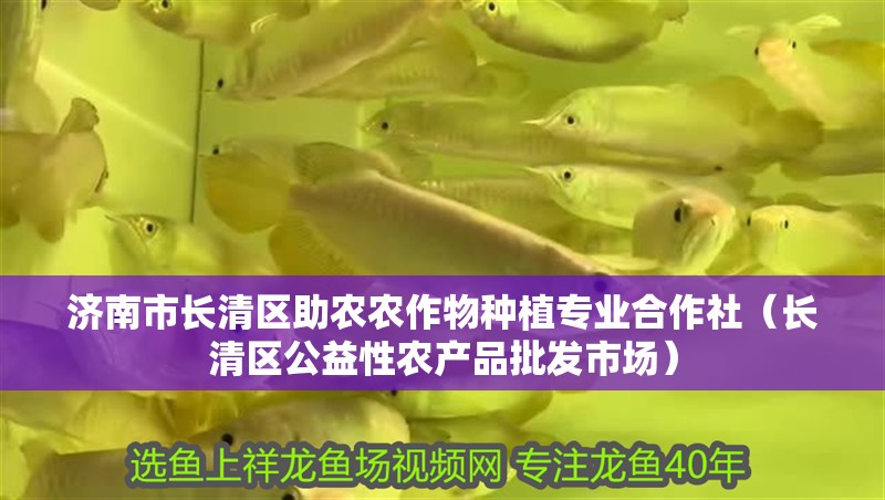 濟南市長清區助農農作物種植專業合作社（長清區公益性農產品批發市場）