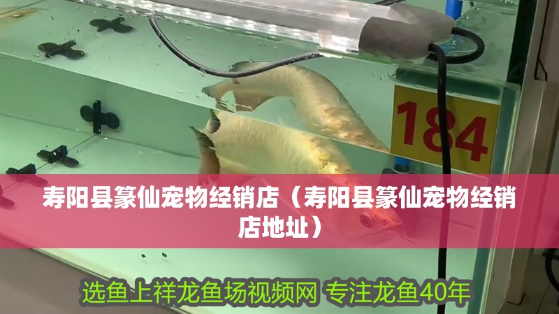 壽陽縣篆仙寵物經銷店（壽陽縣篆仙寵物經銷店地址）
