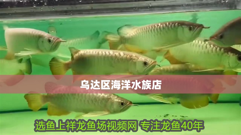 烏達區海洋水族店