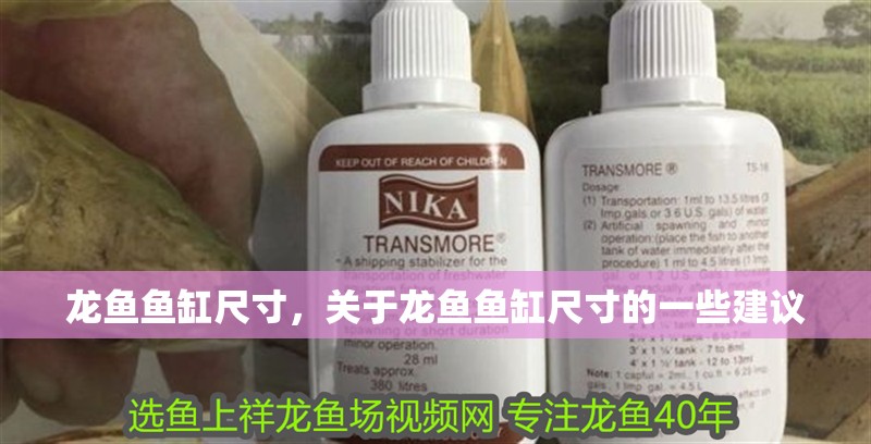 龍魚魚缸尺寸，關于龍魚魚缸尺寸的一些建議