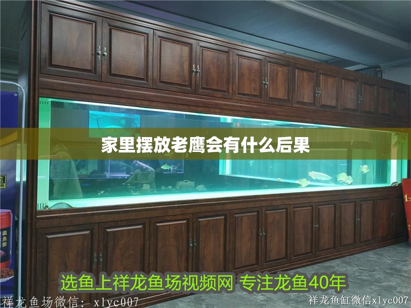 家里擺放老鷹會有什么后果