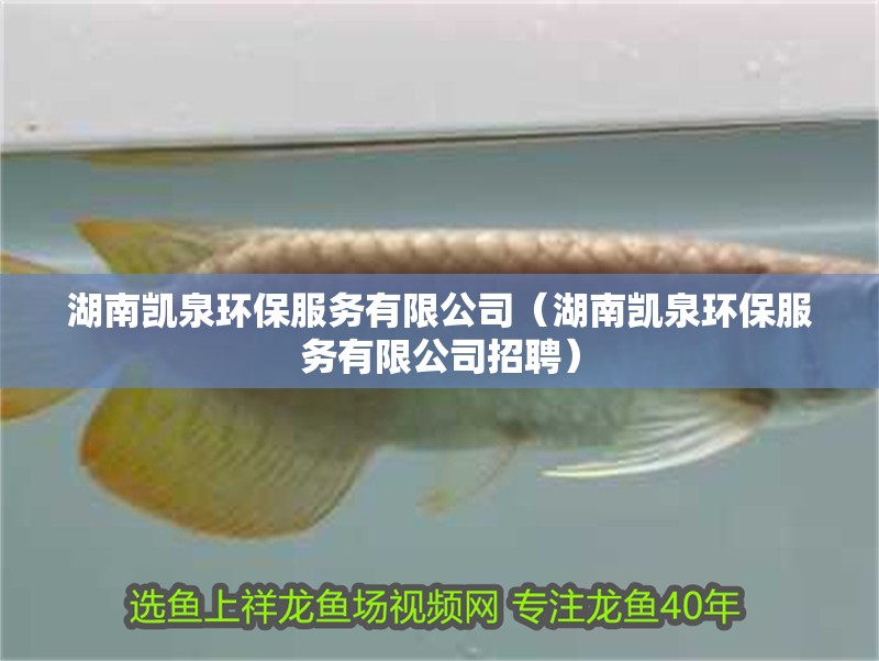 湖南凱泉環(huán)保服務(wù)有限公司（湖南凱泉環(huán)保服務(wù)有限公司招聘）