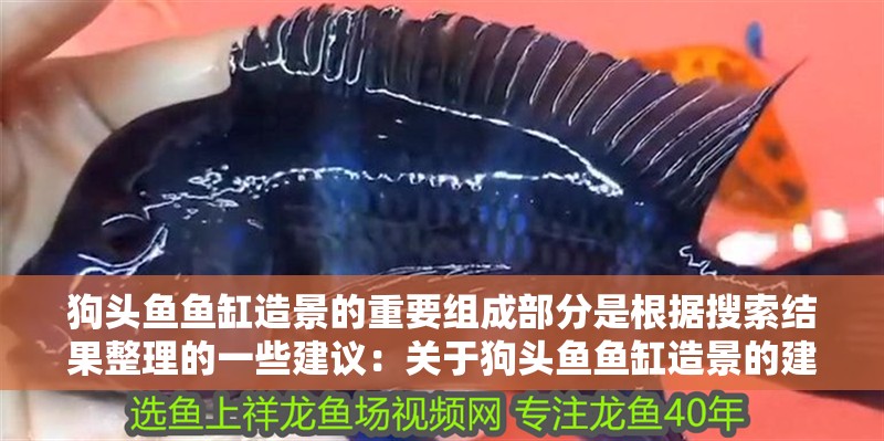 狗頭魚魚缸造景的重要組成部分是根據搜索結果整理的一些建議：關于狗頭魚魚缸造景的建議：底沙是魚缸造景的重要組成部分