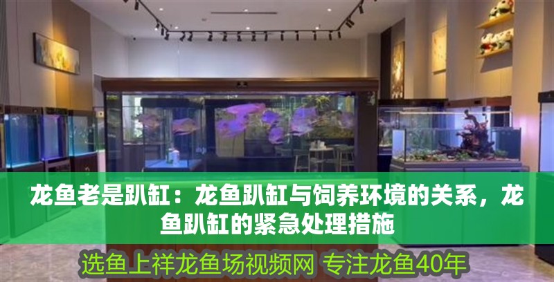 龍魚老是趴缸：龍魚趴缸與飼養環境的關系，龍魚趴缸的緊急處理措施