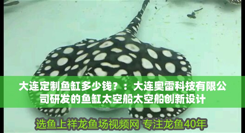 大連定制魚缸多少錢？：大連奧雷科技有限公司研發的魚缸太空船太空船創新設計