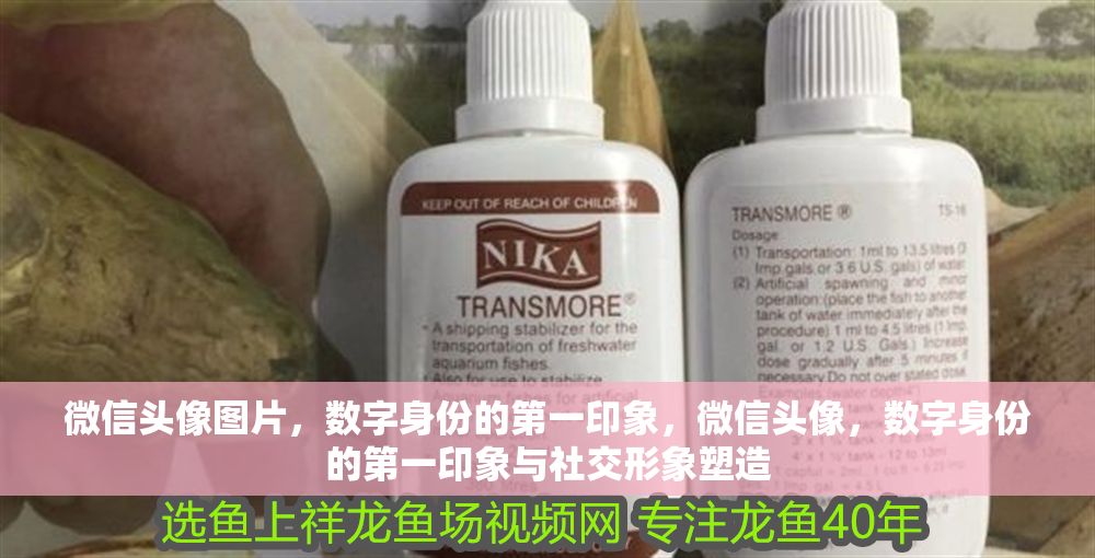 微信頭像圖片，數字身份的第一印象，微信頭像，數字身份的第一印象與社交形象塑造