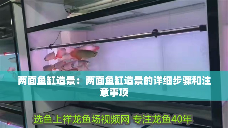 兩面魚缸造景：兩面魚缸造景的詳細步驟和注意事項
