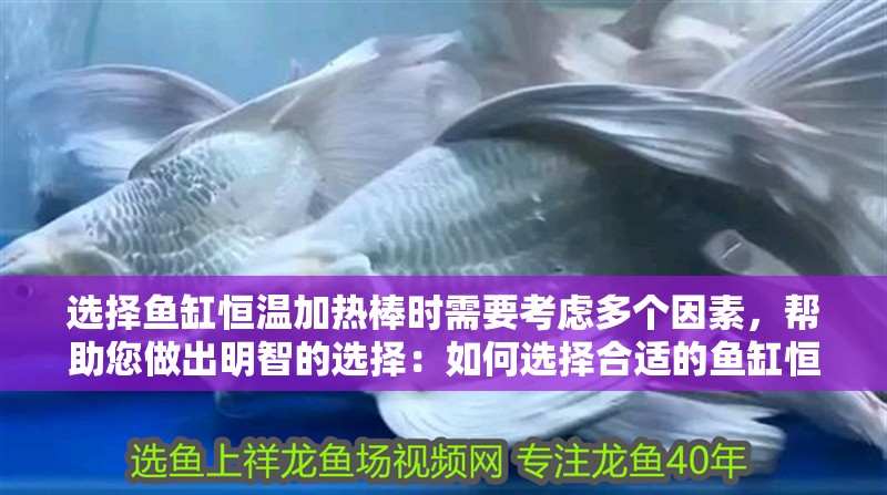 選擇魚缸恒溫加熱棒時(shí)需要考慮多個(gè)因素，幫助您做出明智的選擇：如何選擇合適的魚缸恒溫加熱棒