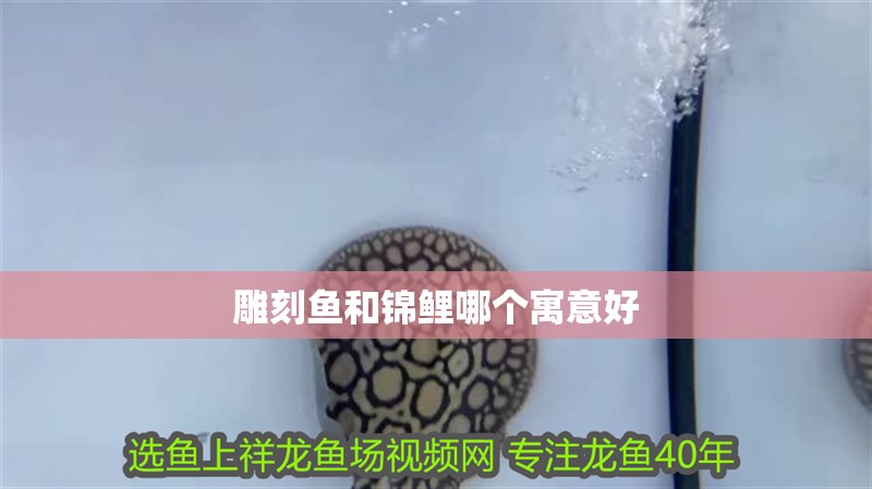 雕刻魚和錦鯉哪個寓意好