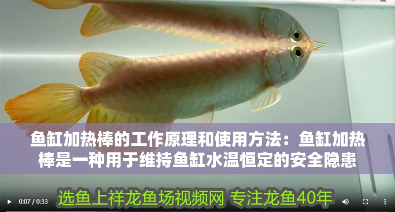 魚缸用增氧泵價(jià)格是多少:魚缸增氧機(jī)-xtrac增氧機(jī)-xtrac增氧機(jī) 魚缸加熱棒的工作原理和使用方法:魚缸加熱棒是一種用于維持魚缸水溫恒定的安全隱患 魚缸百科 魚缸加熱棒的工作原理和使用方法:魚缸加熱棒是一種用于維持魚缸水溫恒定的安全隱患 魚缸加熱棒的工作原理和使用方法:魚缸加熱棒是一種用于維持魚缸水溫恒定的安全隱患 魚缸百科