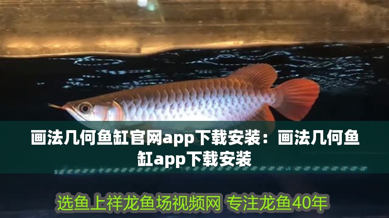 畫法幾何魚缸官網app下載安裝：畫法幾何魚缸app下載安裝