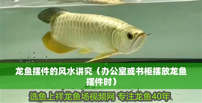 龍魚擺件的風(fēng)水講究（辦公室或書柜擺放龍魚擺件時）