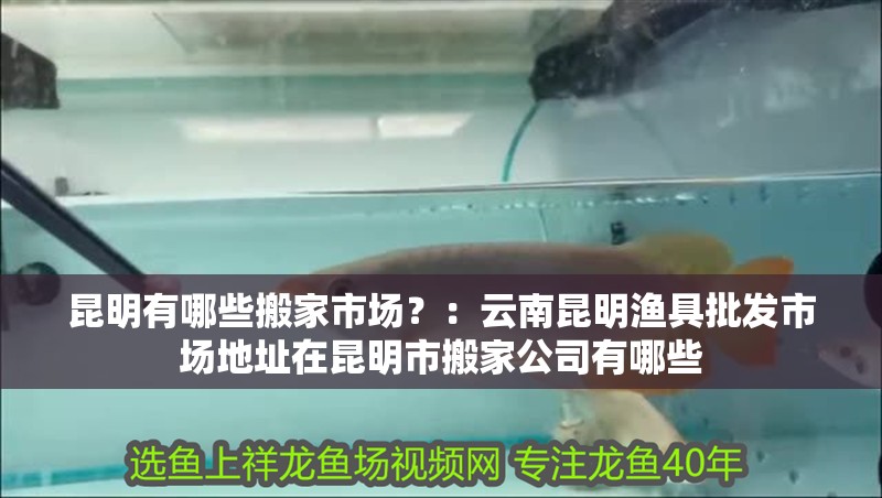 <strong><mark>昆明</mark></strong>有哪些搬家市場？：云南<strong><mark>昆明</mark></strong>漁具批發市場地址在<strong><mark>昆明</mark></strong>市搬家公司有哪些