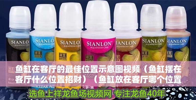 魚缸在客廳的最佳位置示意圖視頻（魚缸擺在客廳什么位置招財）（魚缸放在客廳哪個位置好？）