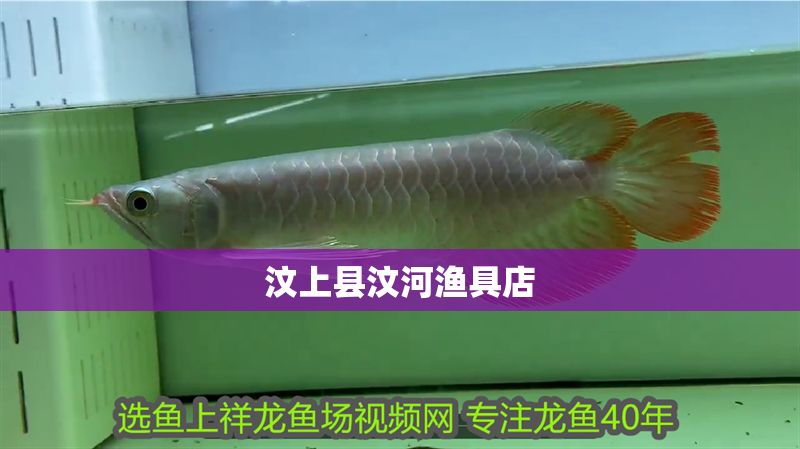 汶上縣汶河漁具店 全國水族館企業名錄 第1張 汶上縣汶河漁具店 汶上縣汶河漁具店 全國水族館企業名錄 第1張