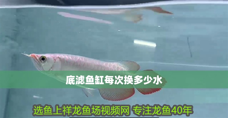 底濾魚缸每次換多少水