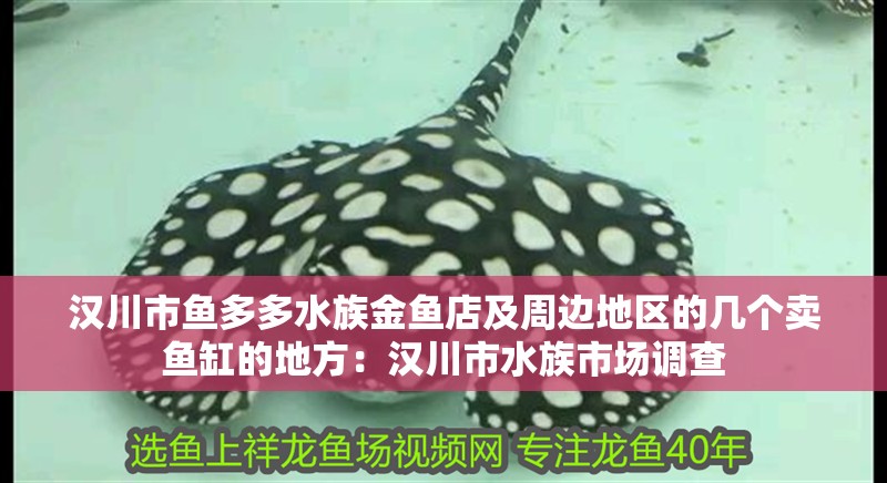 漢川市魚多多水族金魚店及周邊地區的幾個賣魚缸的地方：漢川市水族市場調查 漢川市魚多多水族金魚店及周邊地區的幾個賣魚缸的地方：漢川市水族市場調查 魚缸百科