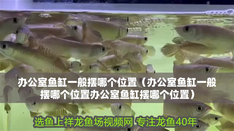 辦公室魚缸一般擺哪個位置（辦公室魚缸一般擺哪個位置辦公室魚缸擺哪個位置）