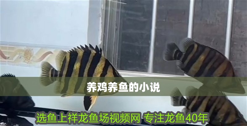 養雞養魚的小說