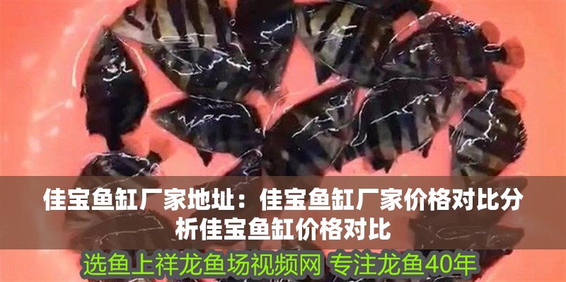 佳寶魚缸廠家地址：佳寶魚缸廠家價格對比分析佳寶魚缸價格對比