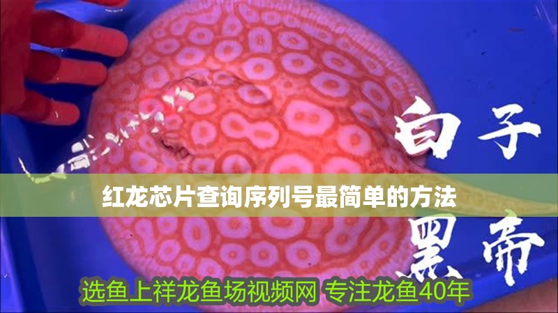 紅龍芯片查詢序列號最簡單的方法