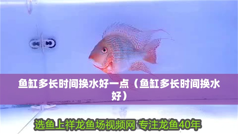 魚缸多長時間換水好一點（魚缸多長時間換水好）