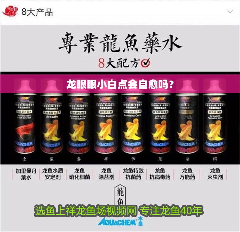 龍眼眼小白點會自愈嗎？