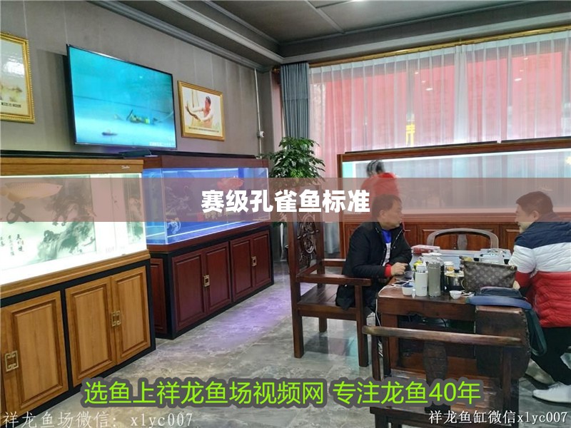 賽級(jí)孔雀魚標(biāo)準(zhǔn)