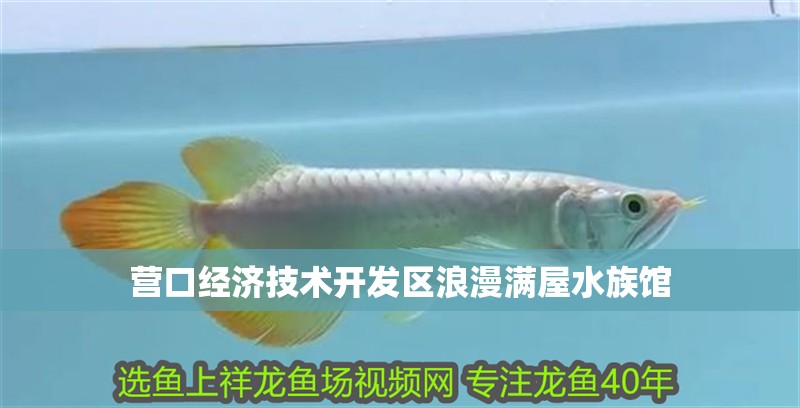 營口經(jīng)濟技術(shù)開發(fā)區(qū)浪漫滿屋水族館