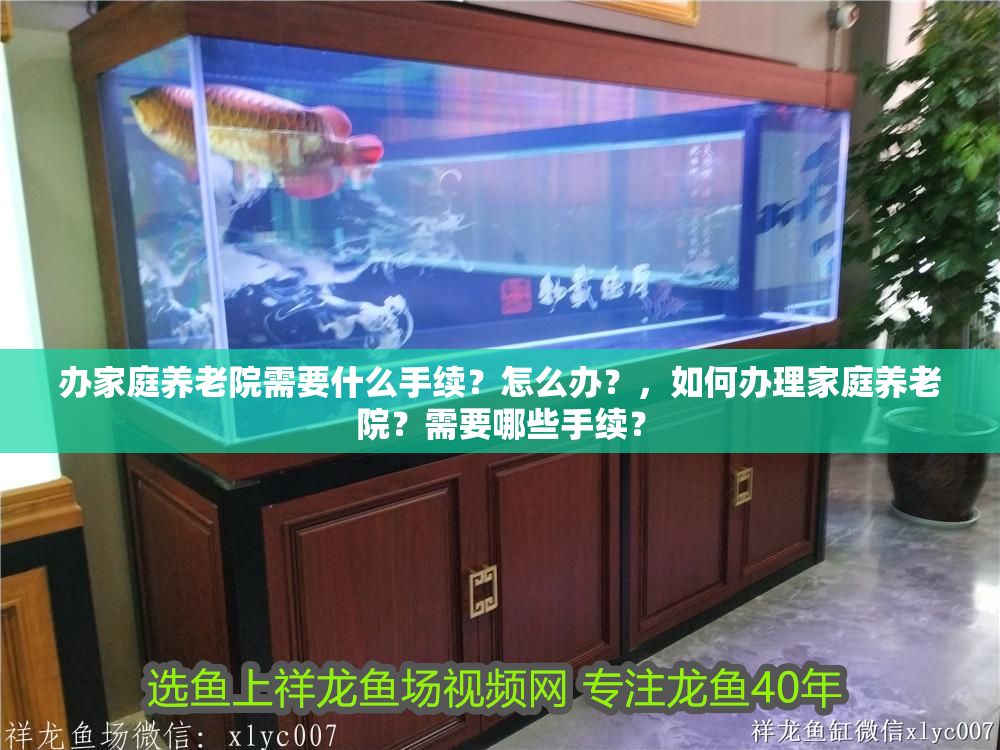 辦家庭養老院需要什么手續？怎么辦？，如何辦理家庭養老院？需要哪些手續？
