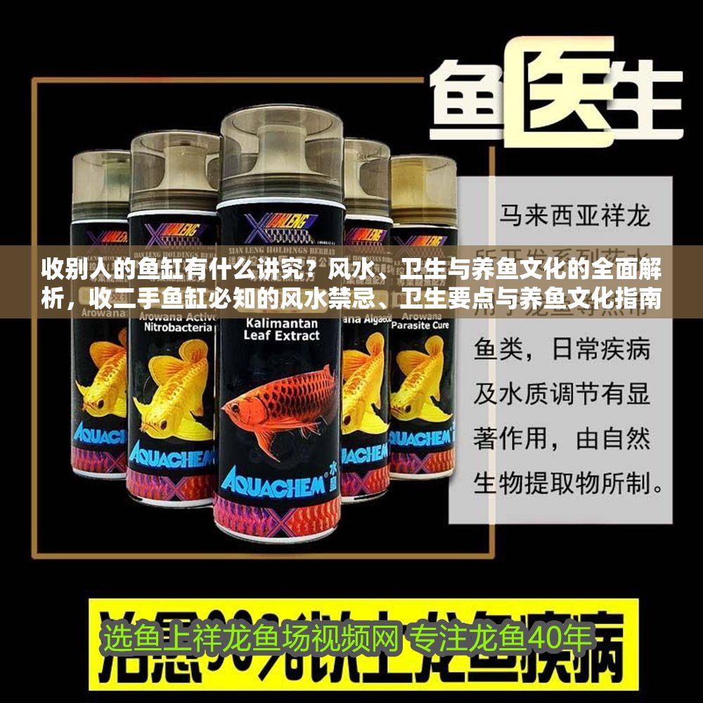 收別人的魚缸有什么講究？風水、衛生與養魚文化的全面解析，收二手魚缸必知的風水禁忌、衛生要點與養魚文化指南