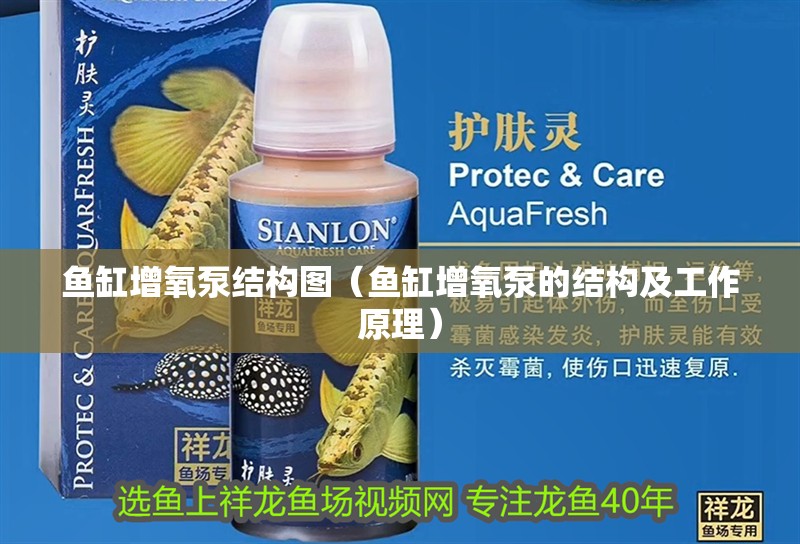 魚缸增氧泵結構圖（魚缸增氧泵的結構及工作原理）