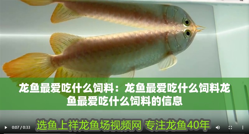 龍魚最愛吃什么飼料：龍魚最愛吃什么飼料龍魚最愛吃什么飼料的信息