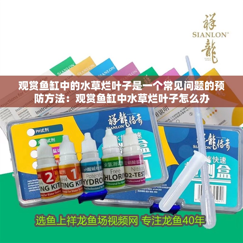 觀賞魚缸中的水草爛葉子是一個常見問題的預(yù)防方法：觀賞魚缸中水草爛葉子怎么辦