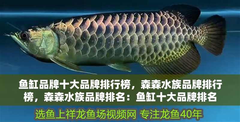魚缸品牌十大品牌排行榜，森森水族品牌排行榜，森森水族品牌排名：魚缸十大品牌排名