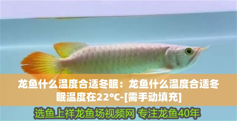 龍魚什么溫度合適冬眠：龍魚什么溫度合適冬眠溫度在22℃-[需手動(dòng)填充]