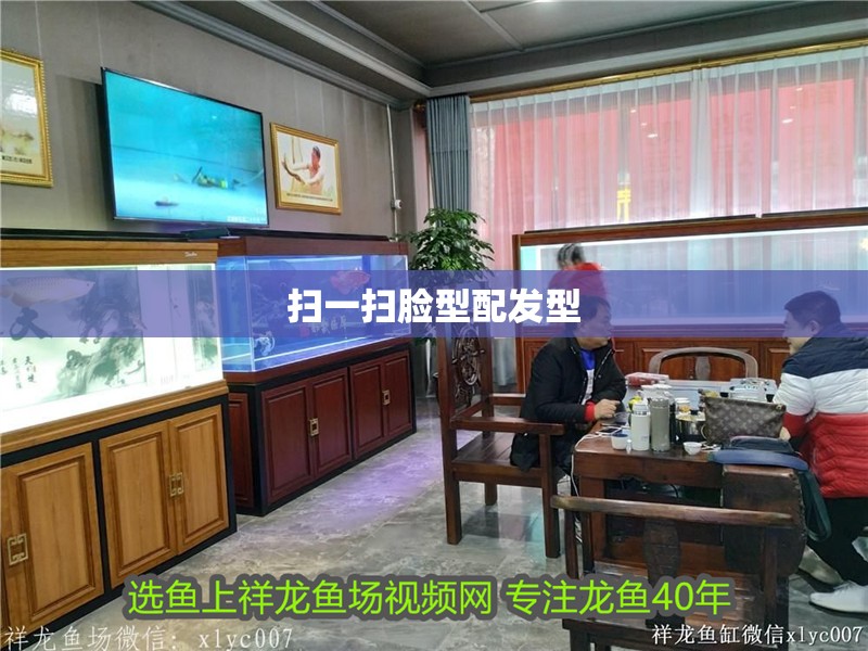 掃一掃臉型配發型