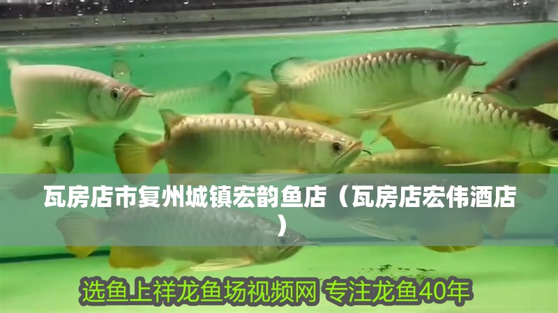瓦房店市復(fù)州城鎮(zhèn)宏韻魚店（瓦房店宏偉酒店）