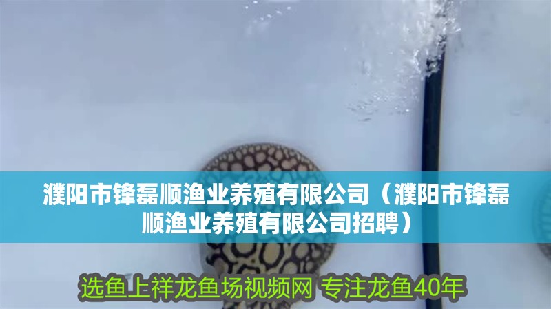 濮陽市鋒磊順漁業養殖有限公司（濮陽市鋒磊順漁業養殖有限公司招聘）