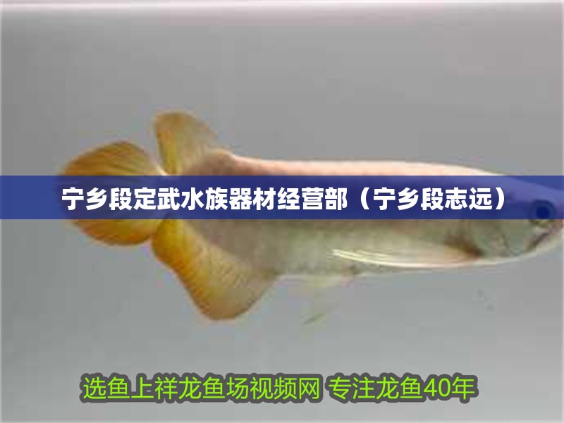 寧鄉段定武水族器材經營部（寧鄉段志遠）
