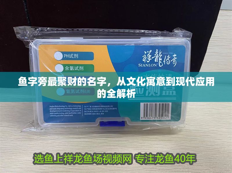 魚字旁最聚財的名字，從文化寓意到現代應用的全解析