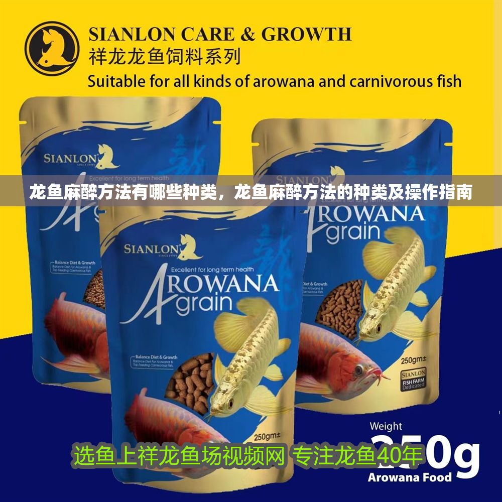 龍魚麻醉方法有哪些種類，龍魚麻醉方法的種類及操作指南