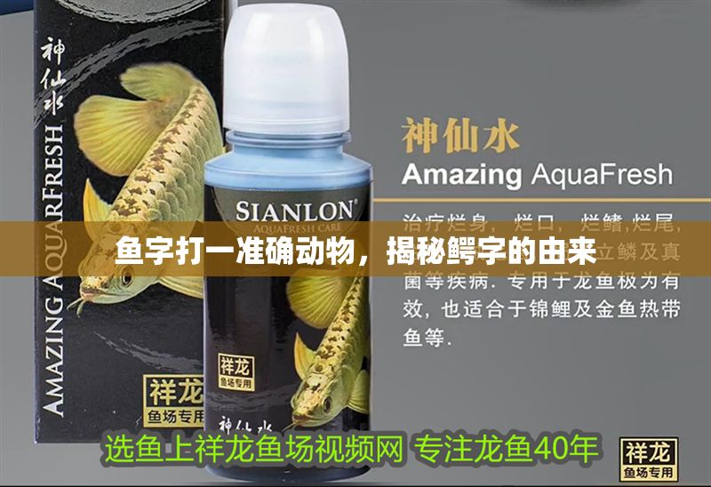 魚字打一準確動物，揭秘鱷字的由來