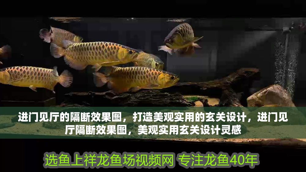 進門見廳的隔斷效果圖，打造美觀實用的玄關設計，進門見廳隔斷效果圖，美觀實用玄關設計靈感