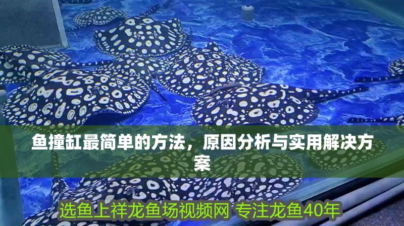 魚撞缸最簡單的方法，原因分析與實(shí)用解決方案