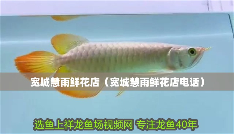 寬城慧雨鮮花店（寬城慧雨鮮花店電話）