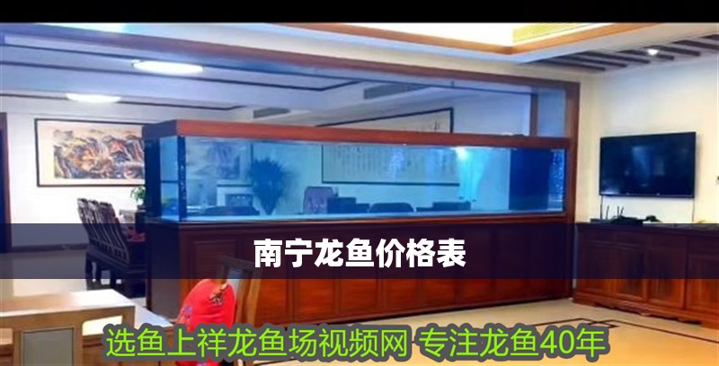 南寧龍魚價格表