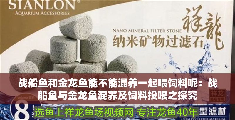 戰(zhàn)船魚和金龍魚能不能混養(yǎng)一起喂飼料呢：戰(zhàn)船魚與金龍魚混養(yǎng)及飼料投喂之探究